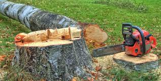 Best Arborist Consultation Services  in New Union, TN