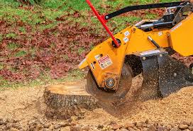 Best Lawn Watering Services  in New Union, TN