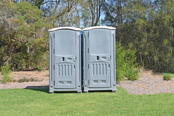 Best Soil Testing and Treatment  in New Union, TN